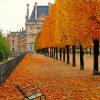 fall in Tuileries Palace paint by number