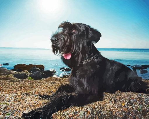 giant schnauzer at the beach paint by number