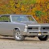 Grey 1965 Pontiac Paint by numbers