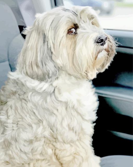 Grey Tibetan Terrier Dog paint by numbers