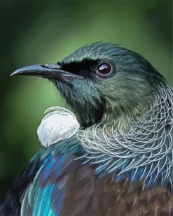 Honeyeater Tui Head Paint by numbers