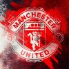 Manchester United Club Logo paint by numbers