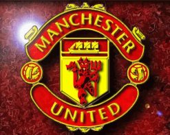 Manchester United Logo paint by numbers