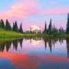 Mount Rainier National Park Landscape paint by numbers