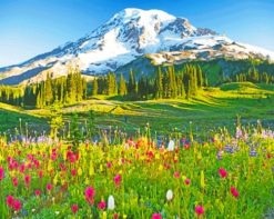 Mount Rainier Paradise paint by number