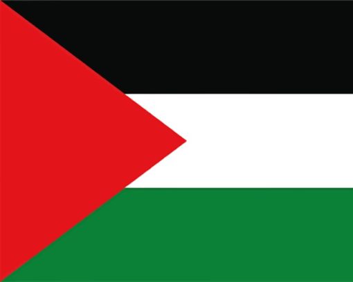 Palestine Flag paint by numbers