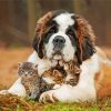 Saint Bernard And Kittens paint by numbers