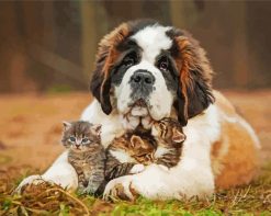 Saint Bernard And Kittens paint by numbers