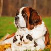 St Bernard And Puppies paint by numbers