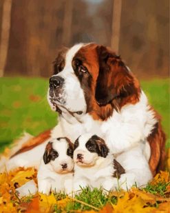 St Bernard And Puppies paint by numbers