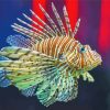 Tropical Lionfish paint by numbers