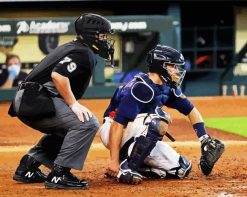 Umpire Baseball paint by numbers