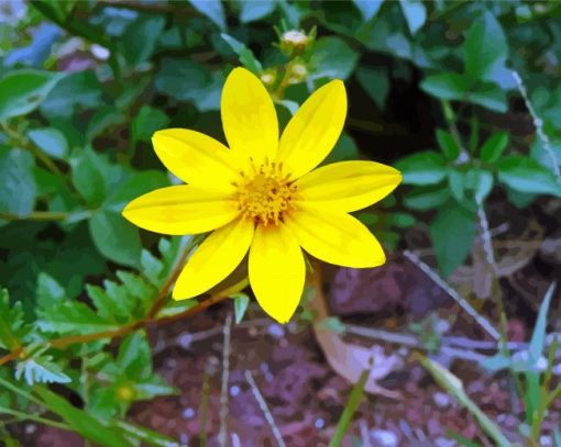 Yellow Ethiopian Flower Paint by numbers