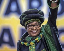 Aesthetic Winnie Mandela paint by number