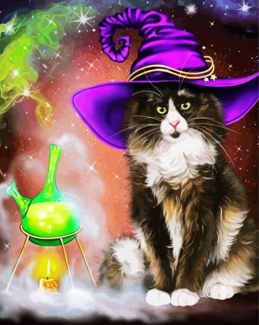 Aesthetic Wizard Cat paint by numbers