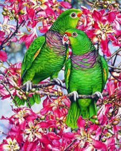 Amazon Parrots Art paint by numbers