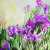 Artistic Iris Field paint by numbers