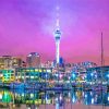 Auckland At Night New Zeeland paint by numbers