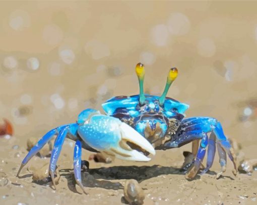 Blue Crab paint by numbers