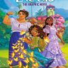 Disney Encanto The Graphic Novel paint by numbers