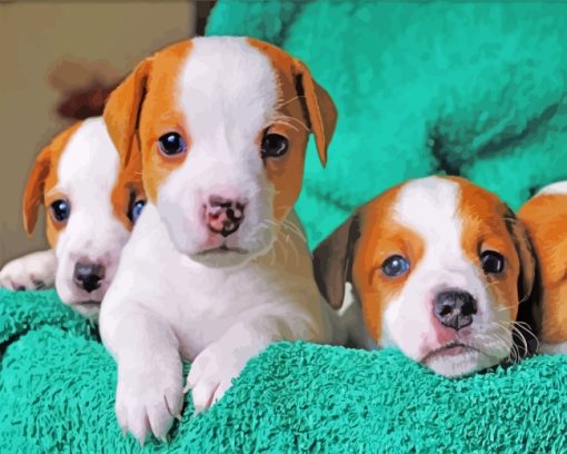 Jack Russel Terrier Puppies paint by numbers