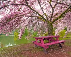 Japanese Sakura Garden paint by numbers