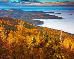 Koli Finland Landscape paint by numbers