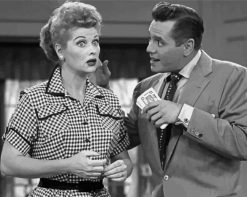 Lucy and desi documentary paint by numbers