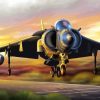 Military Harrier Aircraft paint by numbers