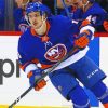 New York Islanders Players paint by numbers