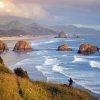 Oregon Coast Beach paint by numbers