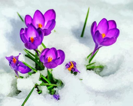 Purple Flowers In Snow paint by numbers