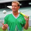 Shane Warne Cricketer paint by numbers