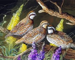 Three Bobwhite Birds paint by numbers