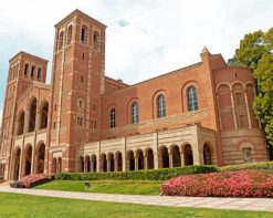 University Of California Los Angeles Building paint by numbers