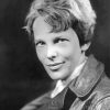 American Avitor Amelia Earhart paint by numbers