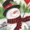 Black Hat Snowman With Birds paint by numbers