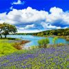 Hill Country Texas Landscape paint by numbers