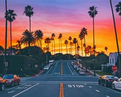 Palm Trees In California sunset paint by numbers