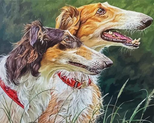 Borzoi Dogs paint by numbers