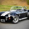 Classic Ford Shelby Cobra paint by numbers