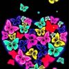 Colorful Butterfly Heart paint by numbers