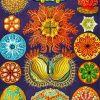 Ernst Haeckel Ascidiae paint by numbers