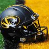 Mizzou Helmet paint by number