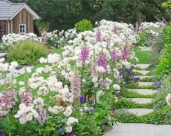 English Garden paint by numbers