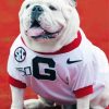 Cute Ga Bulldog paint by numbers