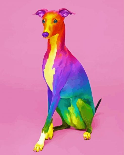 Rainbow Dog paint by numbers