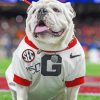 White Ga Bulldog paint by numbers