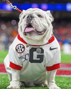 White Ga Bulldog paint by numbers