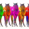 Colorful Horses paint by numbers